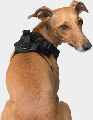 Show full view: Canada Pooch Everything Dog Harness, Black, Medium slide 3 of 7