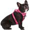 Show in main carousel: Canada Pooch Everything Dog Harness, Floral, Medium slide 3 of 6