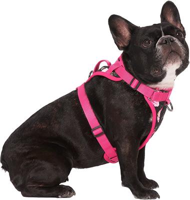 Show full view: Canada Pooch Everything Dog Harness, Floral, Medium slide 3 of 6