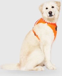 Canada Pooch Everything Dog Harness, Orange, X-Large slide 2 of 4