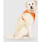 Show in main carousel: Canada Pooch Everything Dog Harness, Orange, X-Large slide 2 of 5