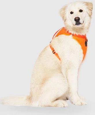 Show full view: Canada Pooch Everything Dog Harness, Orange, X-Large slide 2 of 5