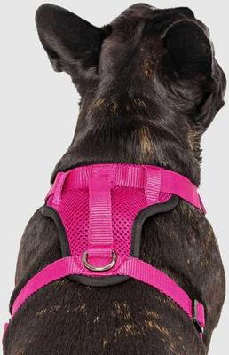 Show full view: Canada Pooch Everything Dog Harness, Pink, Medium slide 4 of 8