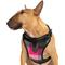 Show in main carousel: Canada Pooch Everything Dog Harness, Pink Plaid, Large slide 2 of 6
