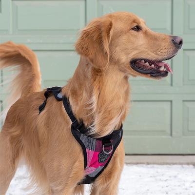 Show full view: Canada Pooch Everything Dog Harness, Pink Plaid, Large slide 4 of 6