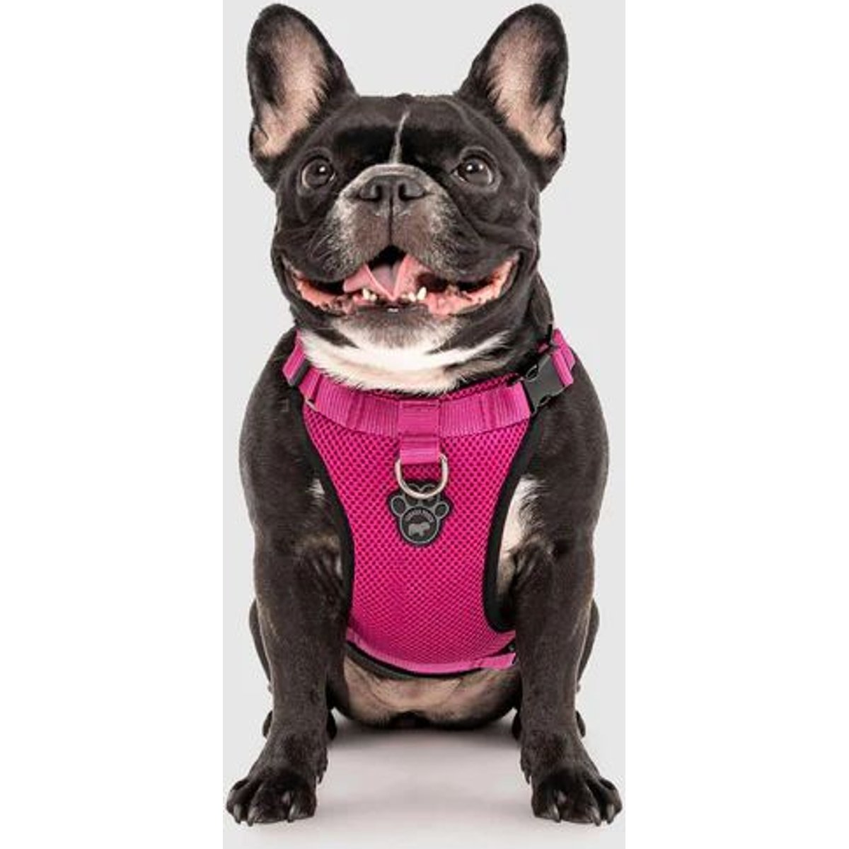 Canada Pooch Everything Dog Harness, Pink, Small