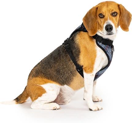 Show full view: Canada Pooch Everything Dog Harness, Plaid, X-Large slide 4 of 6