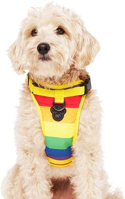 Show full view: Canada Pooch Everything Dog Harness, Rainbow, Medium slide 3 of 7
