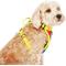 Show in main carousel: Canada Pooch Everything Dog Harness, Rainbow, Medium slide 4 of 7