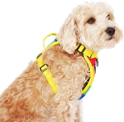 Show full view: Canada Pooch Everything Dog Harness, Rainbow, Medium slide 4 of 7