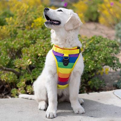 Show full view: Canada Pooch Everything Dog Harness, Rainbow, Medium slide 5 of 7