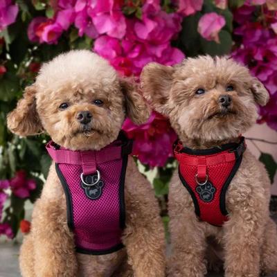Show full view: Canada Pooch Everything Dog Harness, Red, Large slide 5 of 7