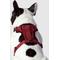 Show in main carousel: Canada Pooch Everything Dog Harness, Red, Medium slide 3 of 7
