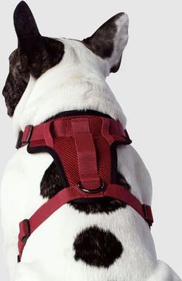 Show full view: Canada Pooch Everything Dog Harness, Red, Medium slide 3 of 7