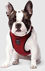 Canada Pooch Everything Dog Harness, Red, Small slide 2 of 6