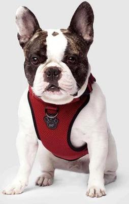 Show full view: Canada Pooch Everything Dog Harness, Red, Small slide 3 of 8
