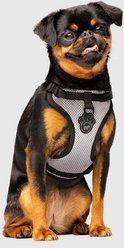 Canada Pooch Everything Dog Harness, Reflective Mesh, Medium