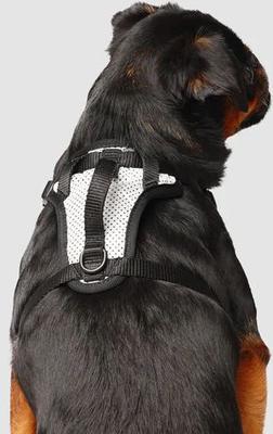 Show full view: Canada Pooch Everything Dog Harness, Reflective Mesh, Medium slide 4 of 8