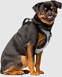 Canada Pooch Everything Dog Harness, Reflective Mesh, Small slide 2 of 6