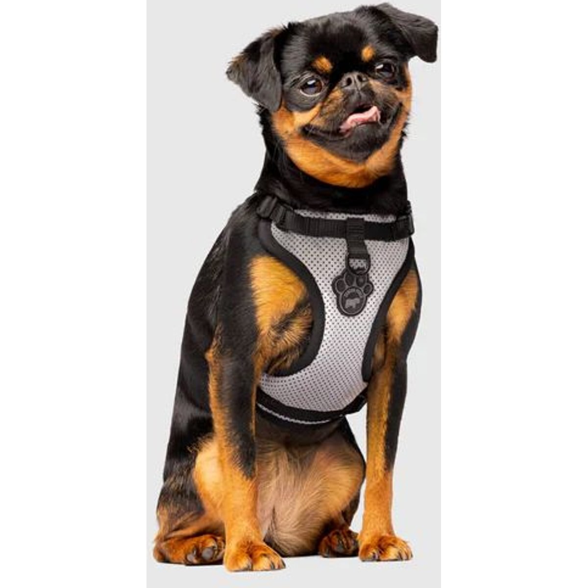 Canada Pooch Everything Dog Harness, Splatter, X-Large