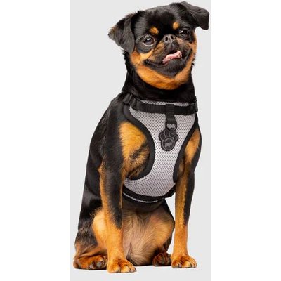 Canada Pooch Canada Pooch Everything Dog Harness, Splatter, X-Large