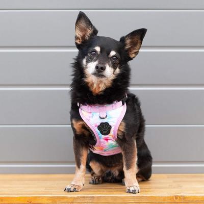 Show full view: Canada Pooch Everything Dog Harness, Tie Dye, X-Large slide 4 of 6