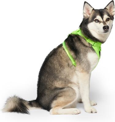 Show full view: Canada Pooch Everything No Pull Dog Harness, Neon Green, Small slide 3 of 5