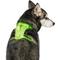 Show in main carousel: Canada Pooch Everything No Pull Dog Harness, Neon Green, Small slide 2 of 5