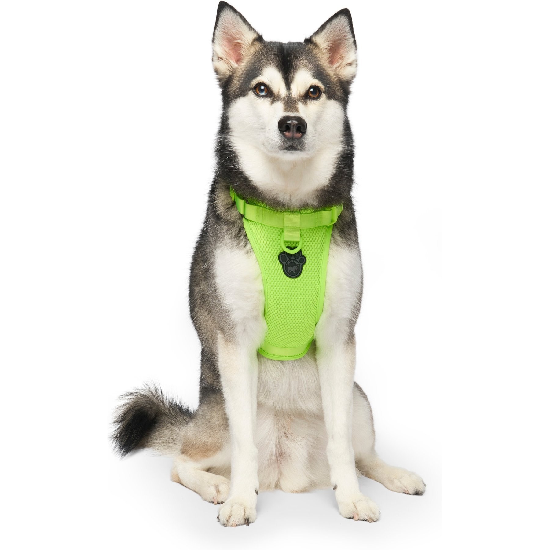 Canada Pooch Everything No Pull Dog Harness, Neon Green, X-Large