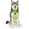 Show in main carousel: Canada Pooch Everything No Pull Dog Harness, Neon Green, X-Large slide 1 of 5