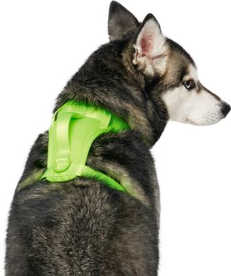 Show full view: Canada Pooch Everything No Pull Dog Harness, Neon Green, X-Large slide 2 of 5