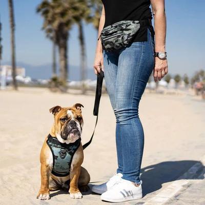 Show full view: Canada Pooch Fanny Pack Dog Tag Accessory, Green Camo, Small slide 5 of 5