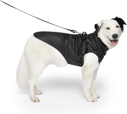 Show full view: Canada Pooch Harness Dog Raincoat, Black, 10 slide 3 of 7