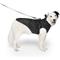 Show in main carousel: Canada Pooch Harness Dog Raincoat, Black, 24 slide 3 of 7