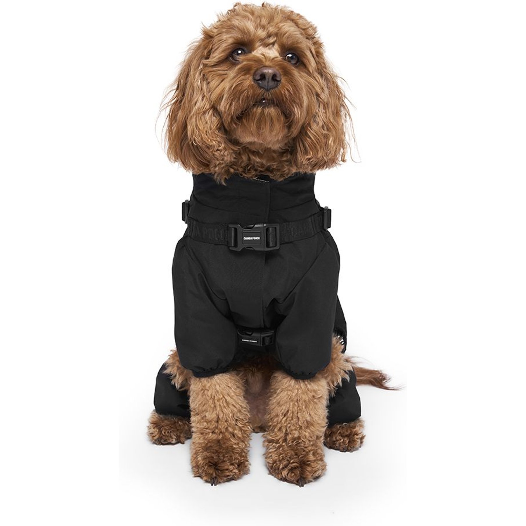 Canada Pooch Harness Dog Snowsuit, Black, 16-in