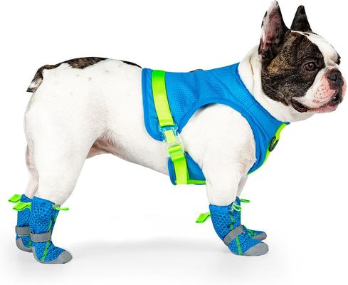 Show full view: Canada Pooch Hot Pavement Dog Boots, 4 slide 3 of 6