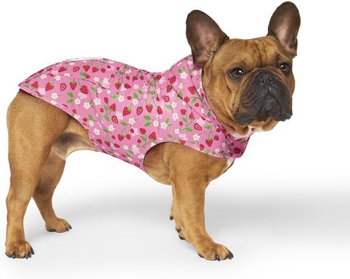 Show full view: Canada Pooch Pick Me Dog Poncho, Strawberries, 28 slide 3 of 7