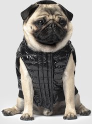 Canada Pooch Shiny North Pole Insulated Dog Puffer Vest, Black, 20 slide 2 of 5