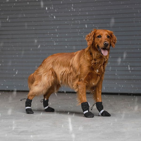 Canada Pooch Soft Shield Dog Boots, Black