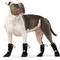 Show in main carousel: Canada Pooch Soft Shield Dog Boots, Black, size 1 slide 2 of 6
