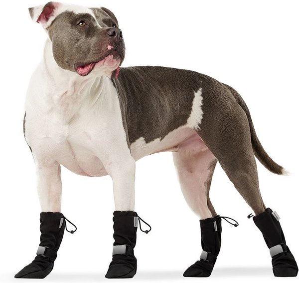 Show full view: Canada Pooch Soft Shield Dog Boots, Black, 5-in slide 2 of 6