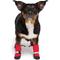 Show in main carousel: Canada Pooch Soft Shield Dog Boots, Red Reflective, 1 slide 2 of 7