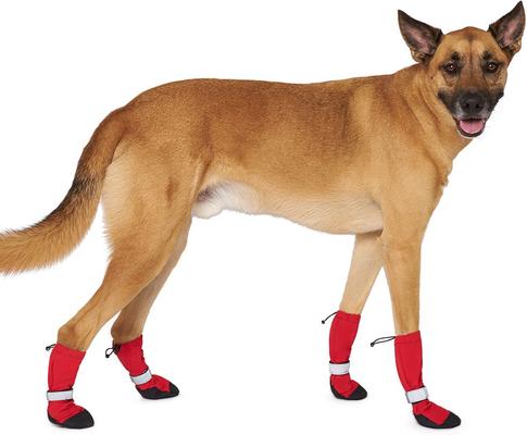 Show full view: Canada Pooch Soft Shield Dog Boots, Red Reflective, 1 slide 3 of 7