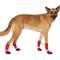 Show in main carousel: Canada Pooch Soft Shield Dog Boots, Red Reflective, 3 slide 3 of 7
