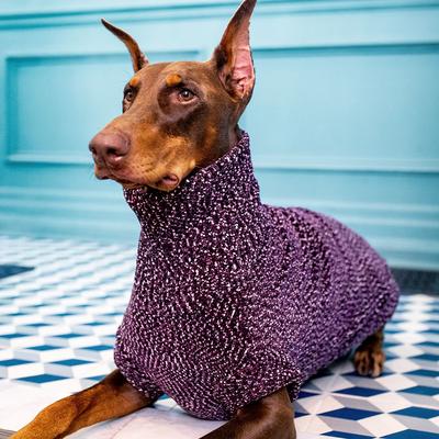 Show full view: Canada Pooch Soho Dog Sweater, Magenta Mix, 24 slide 3 of 5