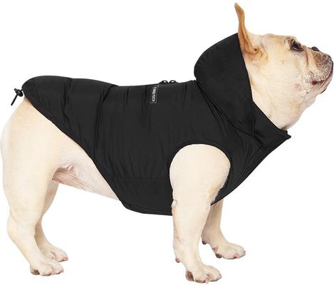 Show full view: Canada Pooch The Waterproof Puffer Dog Coat, Black, 12 slide 3 of 7