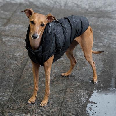 Show full view: Canada Pooch The Waterproof Puffer Dog Coat, Black, 12 slide 5 of 7