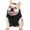 Show in main carousel: Canada Pooch The Waterproof Puffer Dog Coat, Black, 24 slide 2 of 7