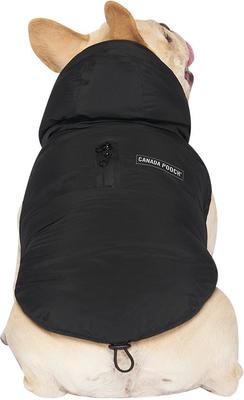 Show full view: Canada Pooch The Waterproof Puffer Dog Coat, Black, 24 slide 4 of 7