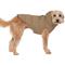 Show in main carousel: Canada Pooch The Waterproof Puffer Dog Coat, Taupe, 22 slide 3 of 7